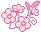 cherry blossoms b