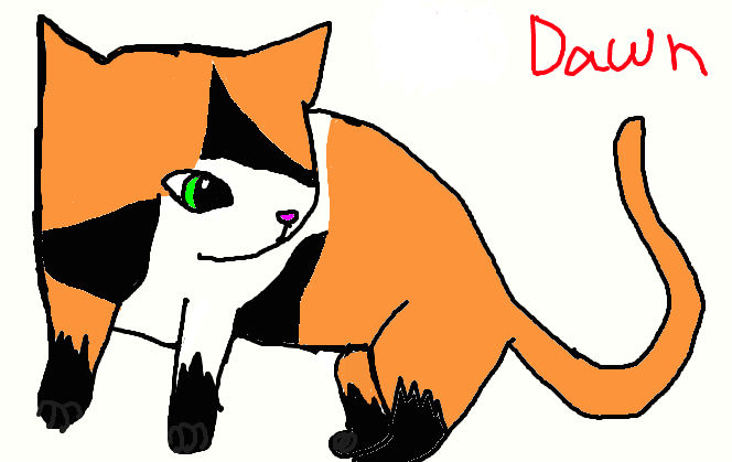 Dawn by Skystorm77 on DeviantArt