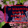 31 Blooming Branch Overlays