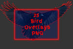Bird Overlays PNG