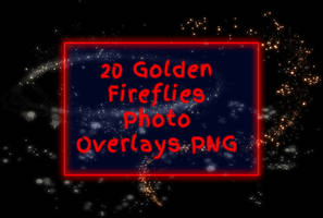 Golden Firefiles