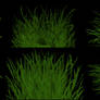 Grass Brushes [abr] [photoshop]