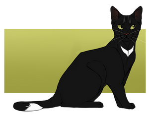 Ravenpaw