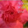 Always With You Chapter 3