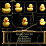 Ducky set wicasa-stock