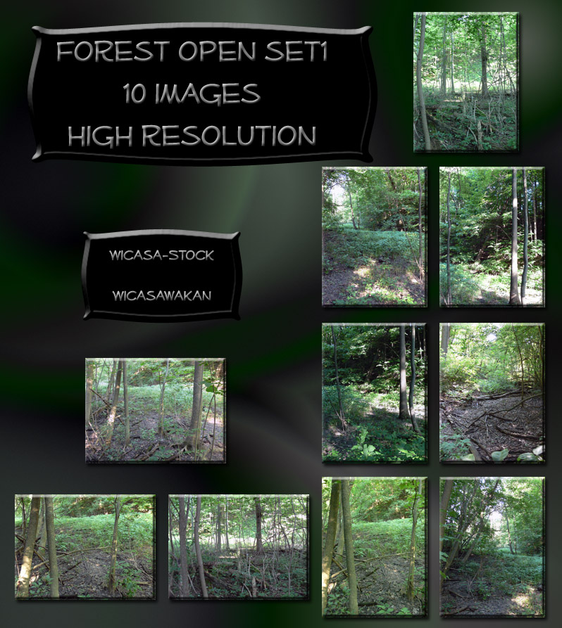 Forest open set wicasa-stock