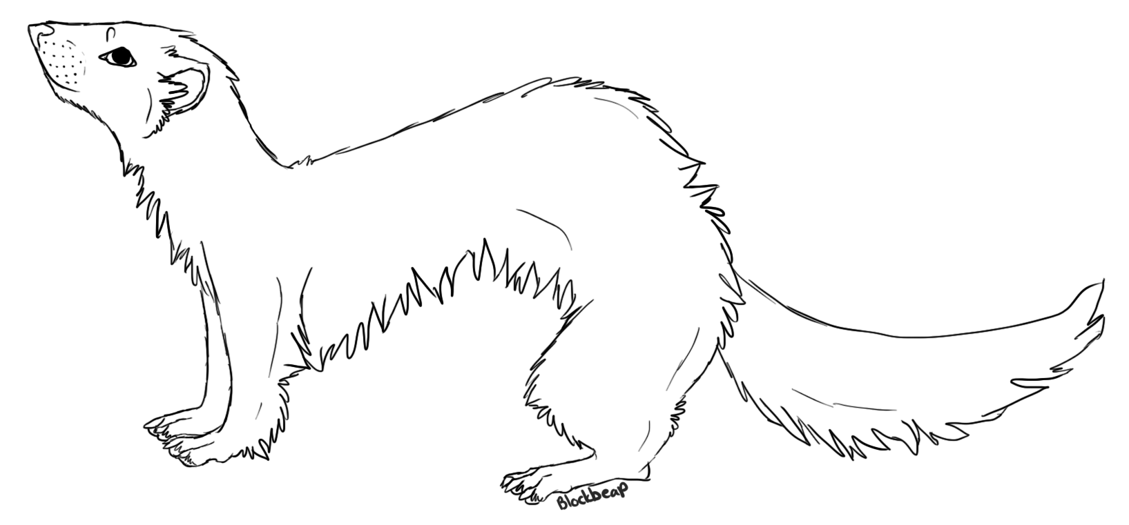 Ferret Lineart