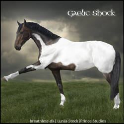 HEE Horse Avatar- Gaelic Shock