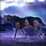 HEE Horse Avatar- Excellent Dream