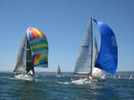Sails ProMotion by WillDBill