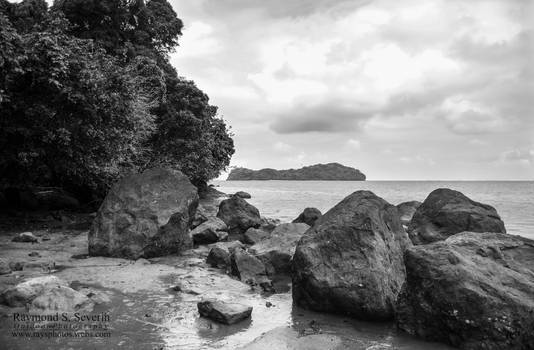 Rocky Shores