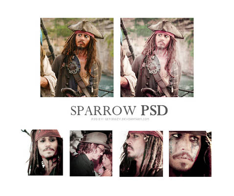 Sparrow PSD