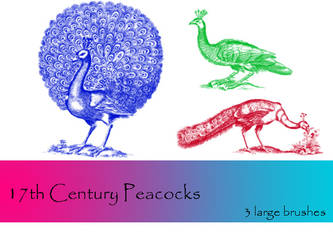 17th Century Peacocks