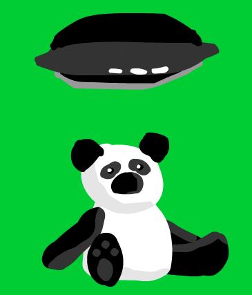 The panda and the ufo