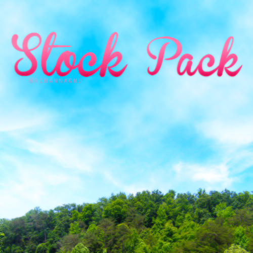 Stock Pack