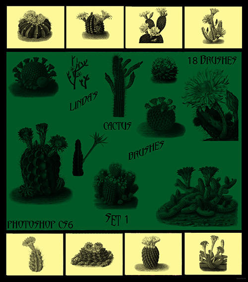 18 CS6 Cactus Brushes Set 1 by chaseandlinda on DeviantArt