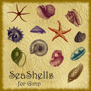 SeaShells Brushes for Gimp