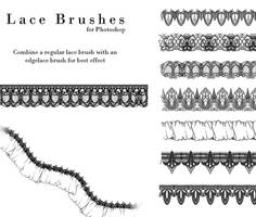 Lace Brushes