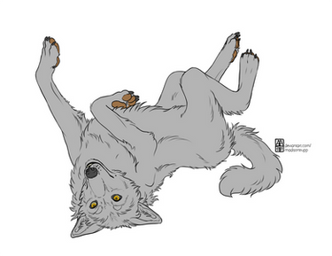 Explore the Best Wolfroll Art | DeviantArt