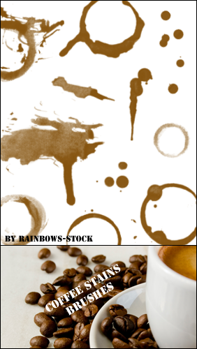 coffee stains brushes