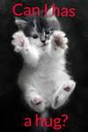 Warrior Cat Name Prefixes And Suffixes List By Silvermoon0371 On