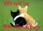 Warrior Cat Name Prefixes And Suffixes List By Silvermoon0371 On