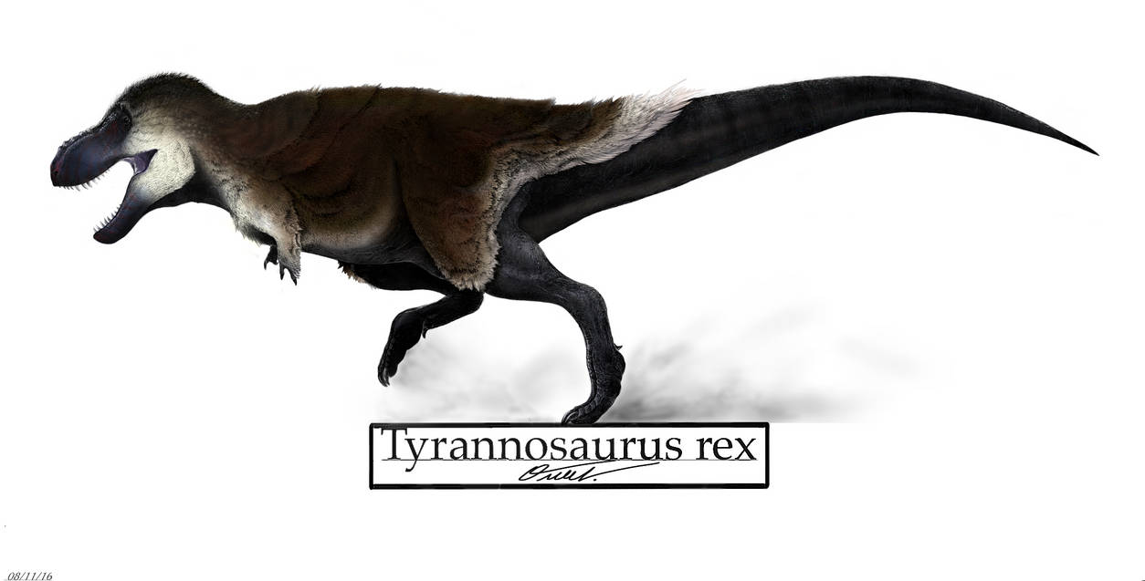 Tyrannosaurus rex by BackOcean on DeviantArt