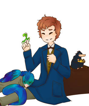 Mr. Scamander