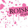 'Roiskeet' brush set