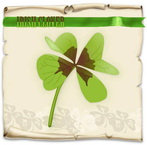 Irish Clover