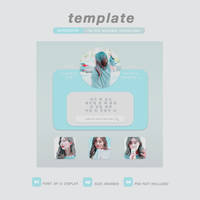 TEMPLATE 002. Introduction.