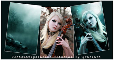 Free Photomanipulation Tutorial 003