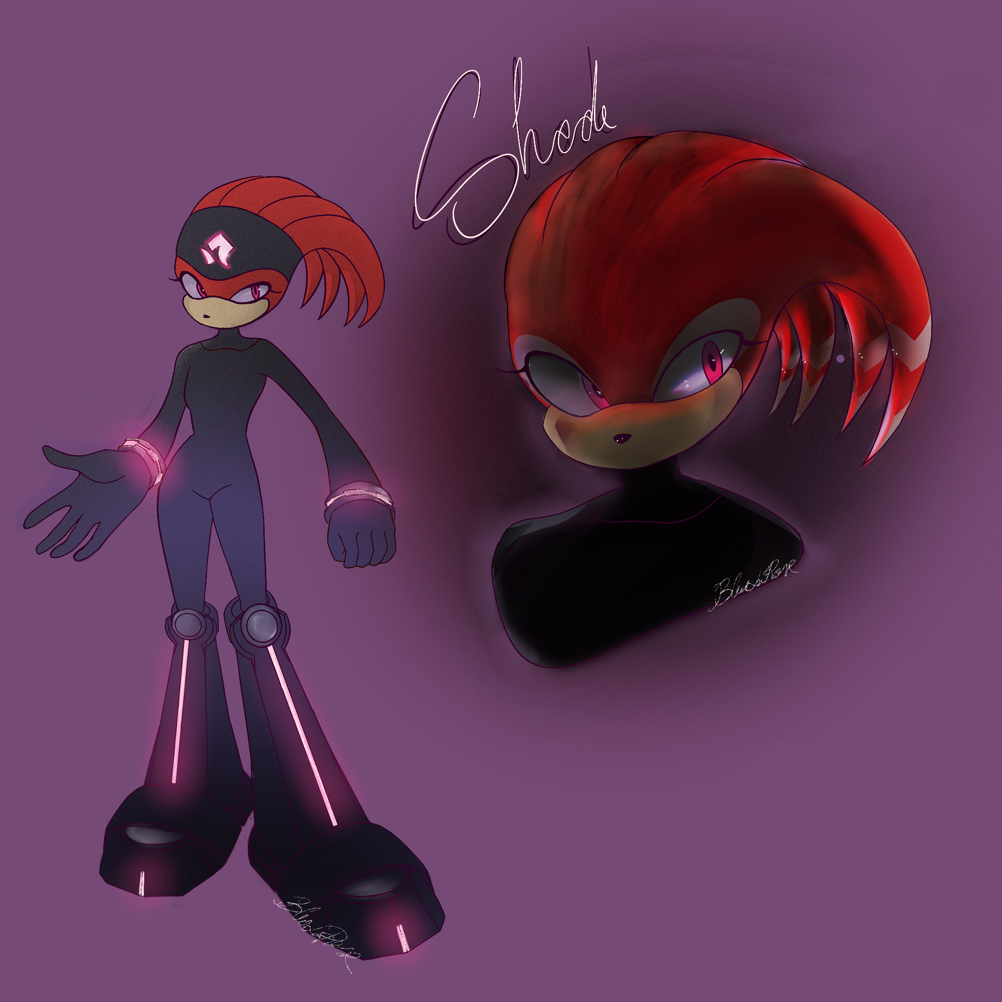 Shade the echidna by BlueLaRose on DeviantArt