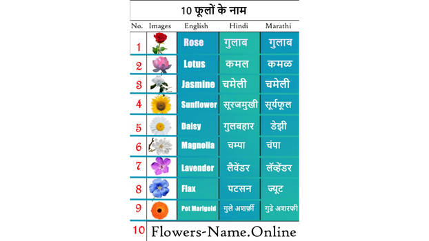 Flowersnamehindi User Profile DeviantArt flowersnamehindi-user-profile-deviantart