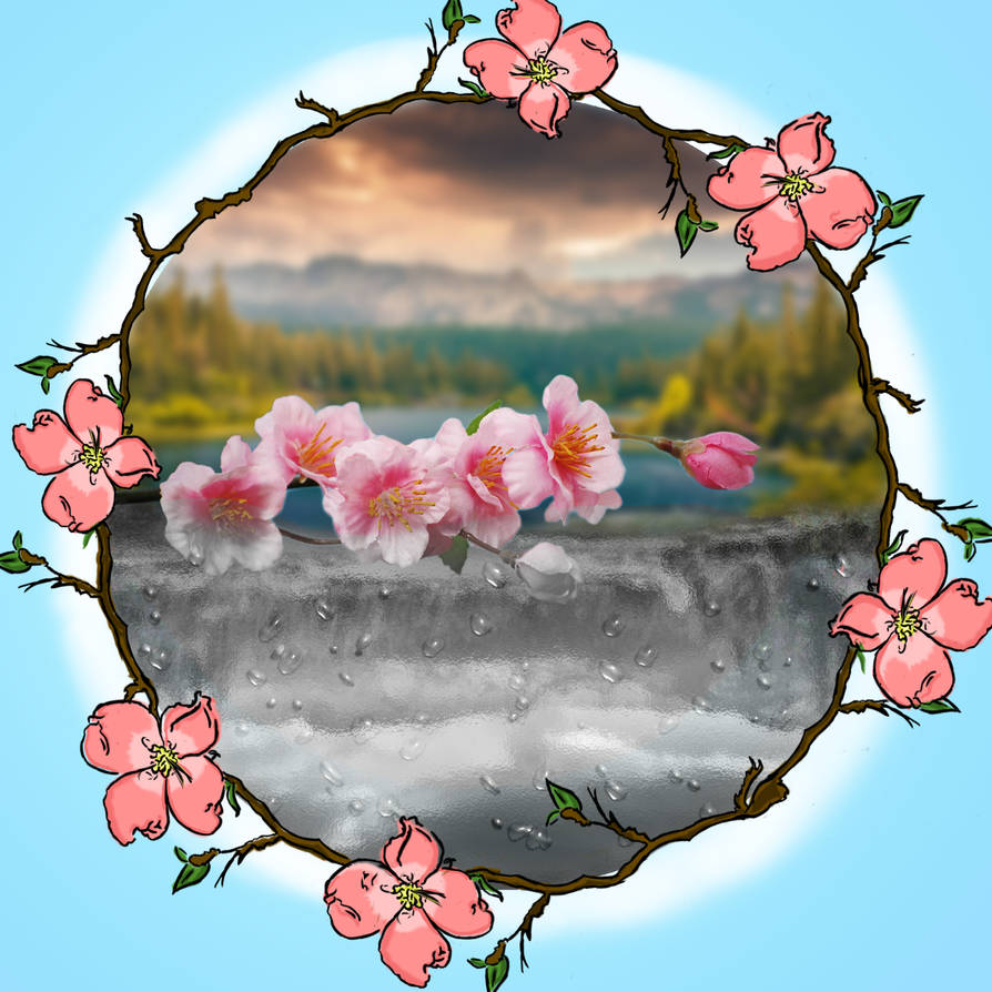 Cherry Blossom by RussellKim on DeviantArt