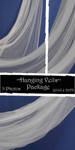 Hanging Veils Package by almudena-stock