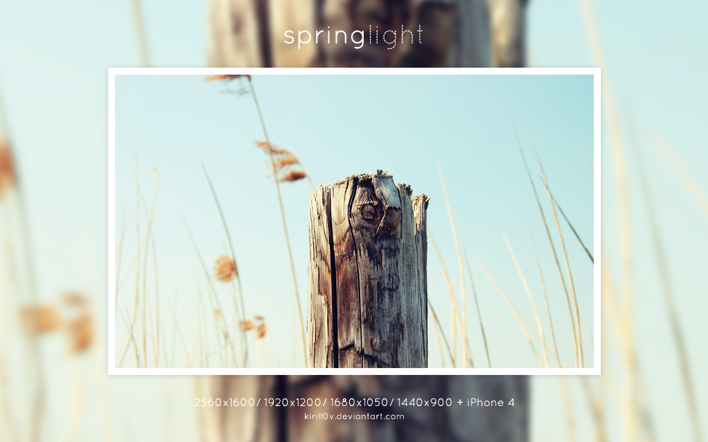 Springlight