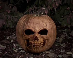 Wallpaper- Halloween Pumpkin