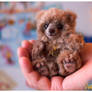 Cute handmade baby bear Koffi