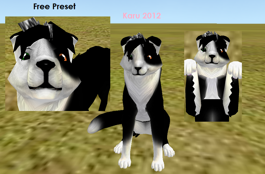 Free Doggy Preset (Feral Heart)