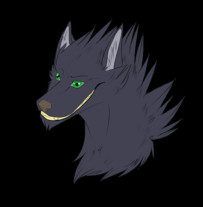 Shadow Wolf by Shewerewolf on DeviantArt
