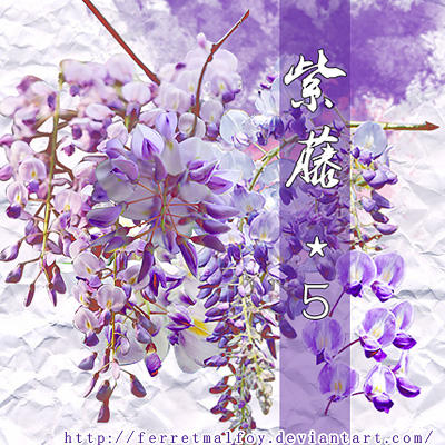 Zi Teng by ferretmalfoy on DeviantArt