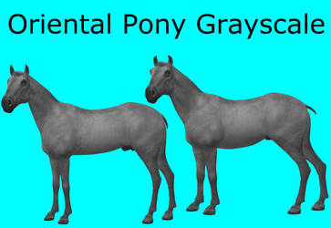 CC0 - Oriental Pony Grayscale