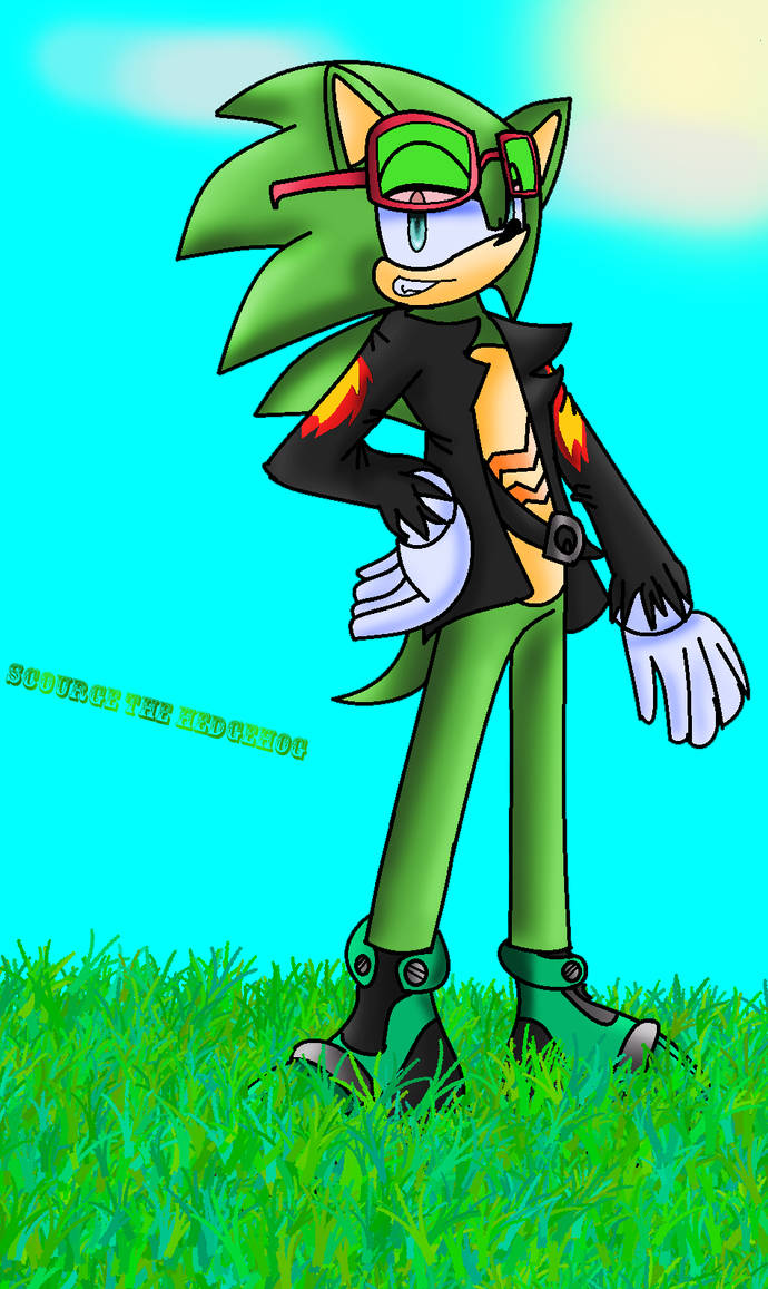 Scourge the Hedgehog by Shadow-Lover4127 on DeviantArt