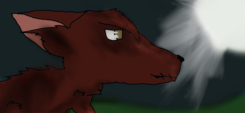 wolf in moonlight by AshyTheOreo on DeviantArt