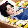 Funeral Advertisement Snow White