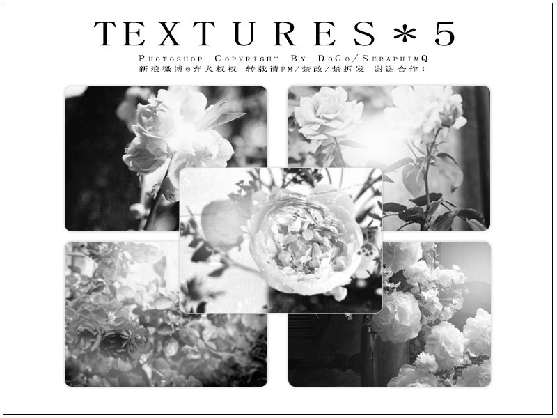 Black and White Textures SeraphimQ by SeraphimQ on DeviantArt
