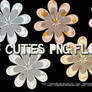 15 Cutie Flowers PNG