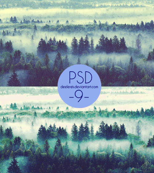PSD 9 by Deelerek on DeviantArt