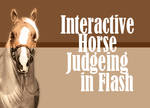 Horse Judgeing 101